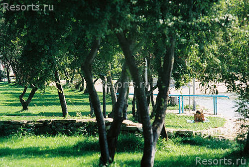 Vestar Camping 15